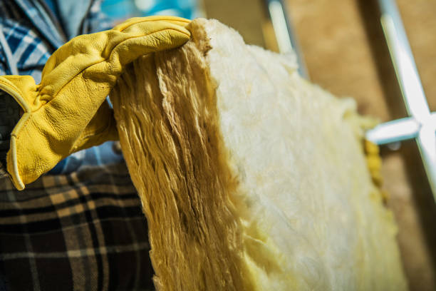 Best Commercial Insulation in Edina, MO